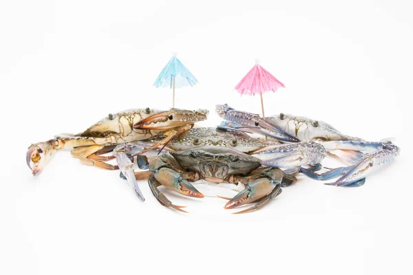 Fresh crab on a white background