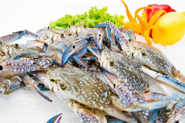 Fresh crab on a white background