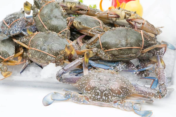 Fresh crab on a white background