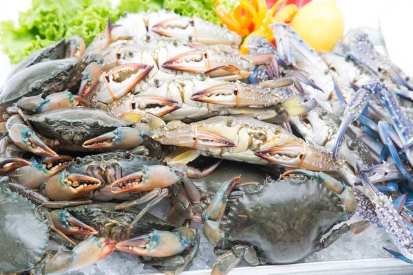 Fresh crab on a white background