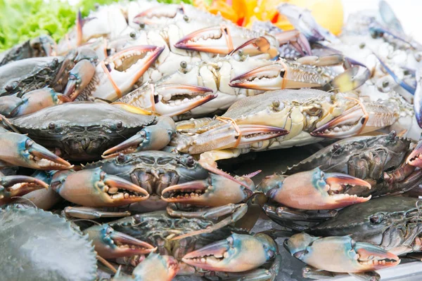 Fresh crab on a white background