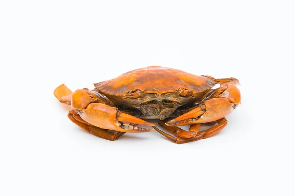 steamed crab on white background.