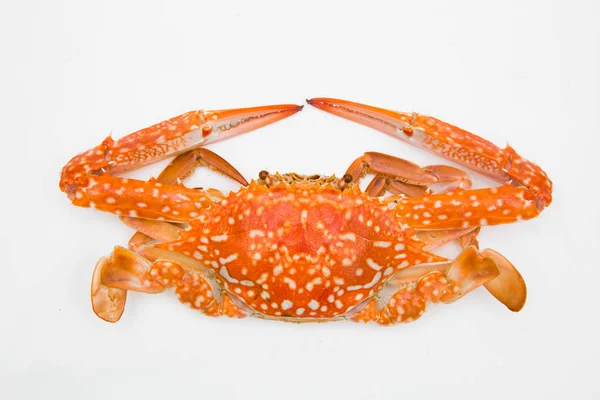 steamed crab on white background.