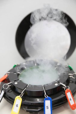 Sıvı nitrojen tankında sperm depolama, Kısırlık Laboratuvarı 1