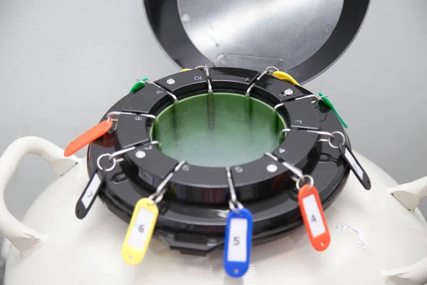 Sıvı nitrojen tankında sperm depolama, Kısırlık Laboratuvarı 1