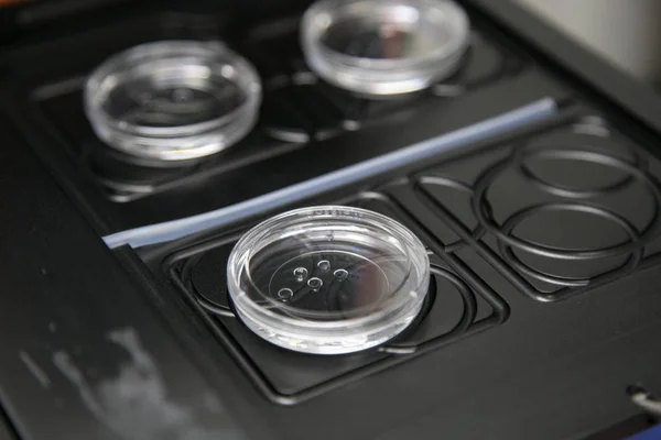 closeup sıvıları ile bilimsel araştırma için Laboratuar cihazları