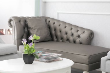 Modern geniş salon veya oturma odası iç