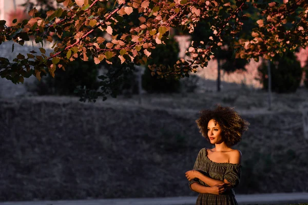 Jonge zwarte vrouw met afro kapsel glimlachend in stedelijke pagina — Stockfoto