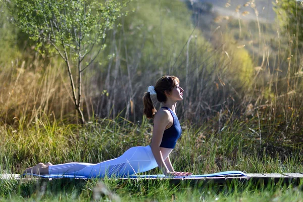 Joven hermosa mujer haciendo yoga en la naturaleza — Foto de Stock