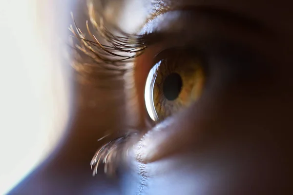 Primer plano de hermoso ojo marrón niña — Foto de Stock