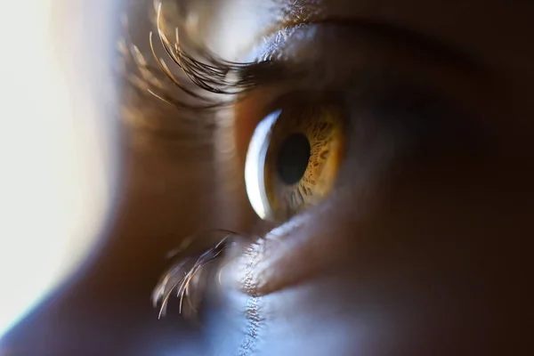 Närbild av vackra lilla flicka brun öga — Stockfoto