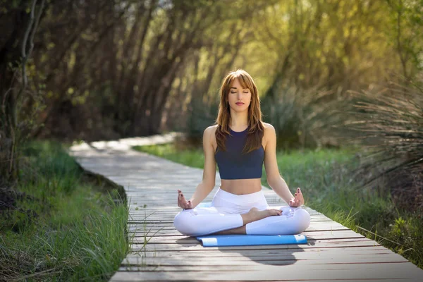 Wanita cantik muda melakukan yoga di alam — Stok Foto