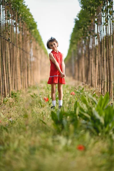 Menina caminhando no campo da natureza vestindo vestido bonito — Fotografia de Stock