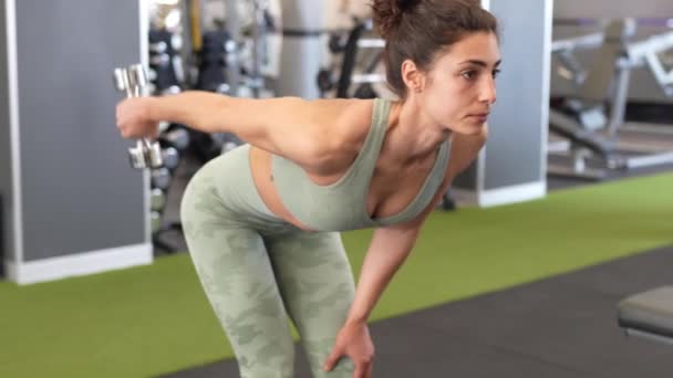Mujer trabajando en sus tríceps y bíceps en un gimnasio con mancuernas — Vídeo de stock