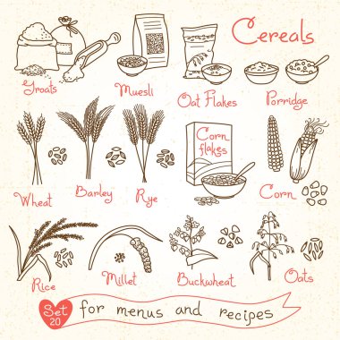 Çizimler tahıl tasarım menü, yemek tarifleri ve ambalaj için ayarlayın. Pul, kabuğu çıkarılmış tane, yulaf lapası, müsli, Mısır gevreği, yulaf, çavdar, buğday, arpa, darı, buğday, pirinç, Mısır