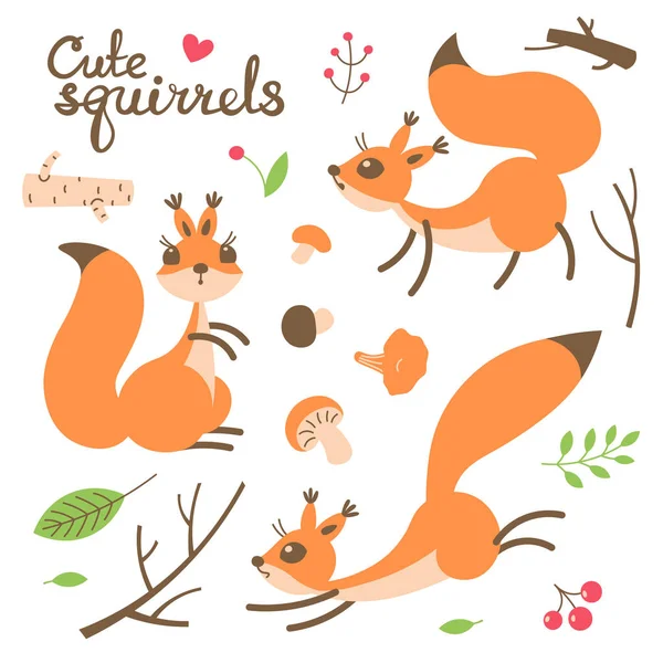 Esquilo bonito dos desenhos animados. Pequenos esquilos engraçados. Ilustração vetorial — Vetor de Stock