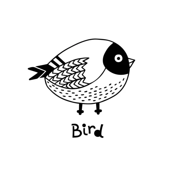 Elemento aislado dibujado a mano vectorial, pajarito. Lindo personaje. Diseño moderno simple — Archivo Imágenes Vectoriales