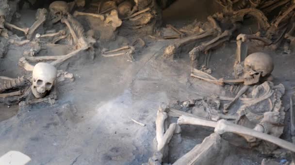 Antik Romalı Nsan Kalıntıları Herculaneum Napoli Talya Skeletler — Stok video