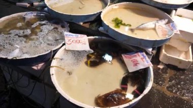 Napoli, İtalya 'da bir balıkçıda taze canlı ıstakoz ve yengeç.