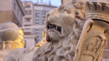 Lion Water Spout - Municipio Meydanı 'ndaki Neptunes Çeşmesi, Napoli, Campania, İtalya