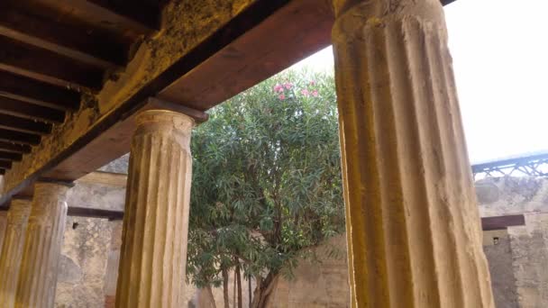 Kolumny Perystylu Starożytnej Rzymskiej Willi Herculaneum Neapol Włochy — Wideo stockowe