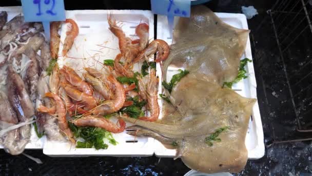 Makanan Laut Pasar Ikan Skate Udang Dan Calamari Kotak Styrofoam — Stok Video