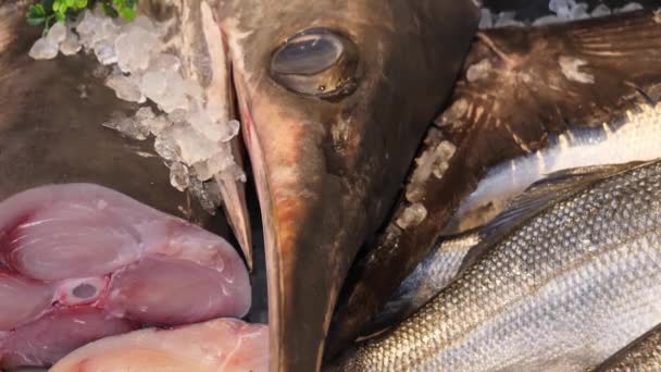 Dead Sword Fish Ice Primer Plano Cabeza Ojo Mercado Pescado — Vídeos de Stock