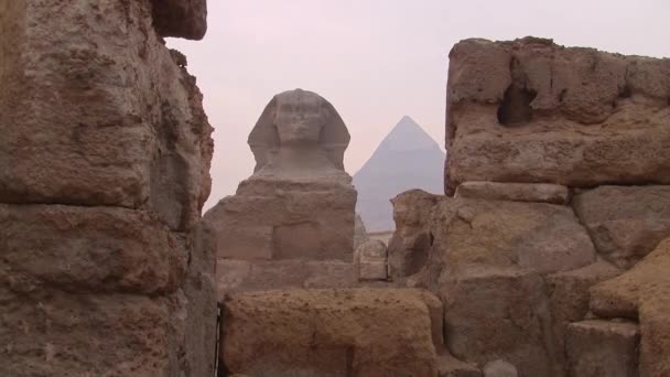 Die Große Sphinx Von Giza Kairo Ägypten — Stockvideo