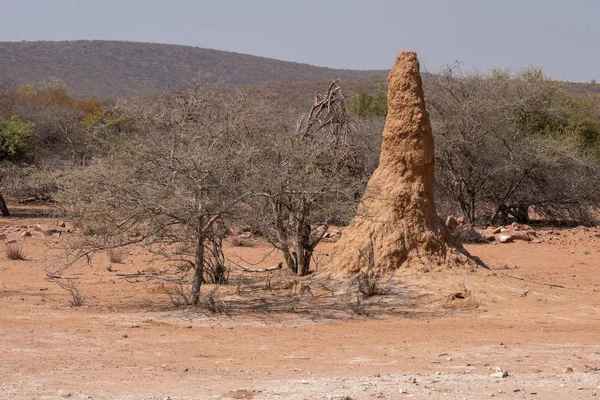 纳米比亚Kaokoveld的Termite Hill — 图库照片