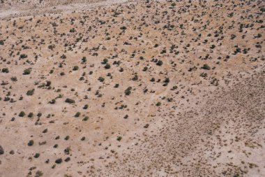 Çalılıklar ve Ağaçlarla Arid Savanna Hava Arkaplanı