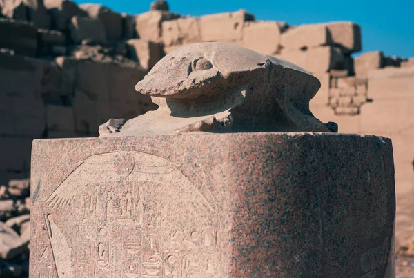 Статуя Скараб у храмі Карнак, Єгипет. — стокове фото