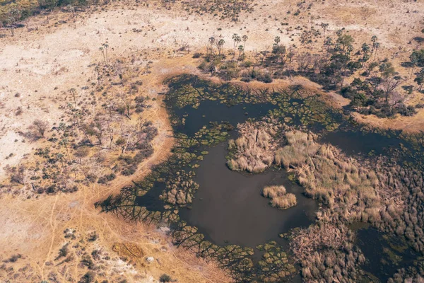 Delta do Okavango aéreo de uma lagoa ou pequeno lago em savana seca Imagens De Bancos De Imagens