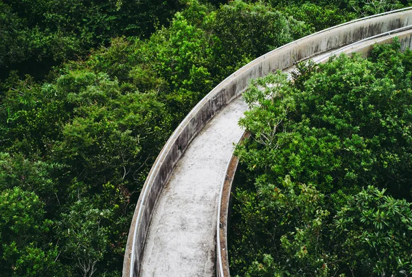 Empty Concrete Walkway Everglades Shark Valley Visitor Center Leading Green — Stock Photo, Image