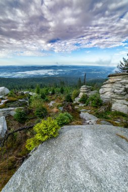 Floral Mountain top on a sunny day with small clouds