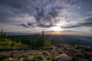 Floral Mountain top on a sunny day with small clouds