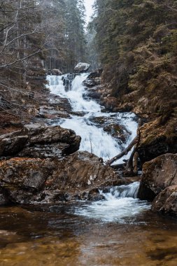 Stream in the bavarian forest with autumn colors
