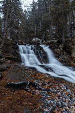 Stream in the bavarian forest with autumn colors