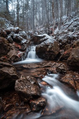 Stream in the bavarian forest with autumn colors