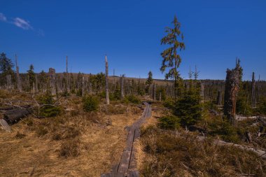 Board Walkway in moorland typical hiking trail
