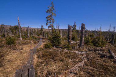 Board Walkway in moorland typical hiking trail