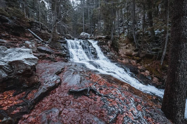 Flusso Nella Foresta Bavarese Con Colori Autunnali — Foto Stock
