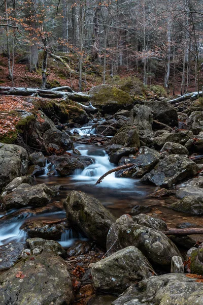 Flusso Nella Foresta Bavarese Con Colori Autunnali — Foto Stock