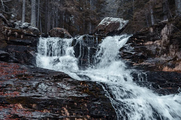 Flusso Nella Foresta Bavarese Con Colori Autunnali — Foto Stock