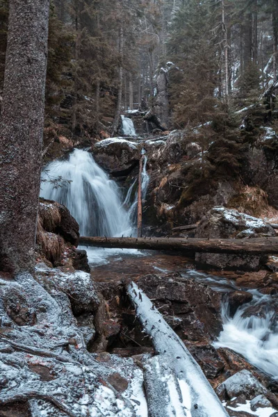 Flusso Nella Foresta Bavarese Con Colori Autunnali — Foto Stock