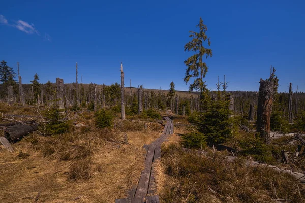 Board Walkway Moorland Typical Hiking Trail — Stok fotoğraf