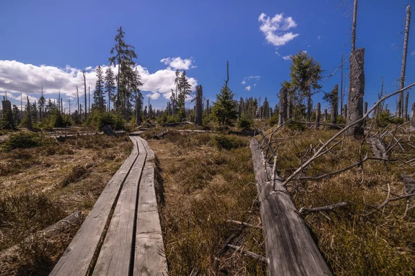 Board Walkway Moorland Typical Hiking Trail — 스톡 사진