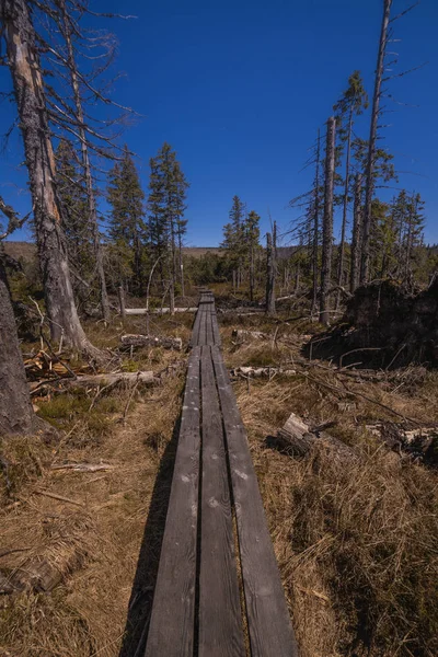 Board Walkway Moorland Typical Hiking Trail — Stok fotoğraf