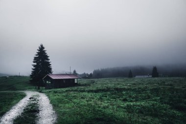 Sonbaharda manzara ve mimari manzara