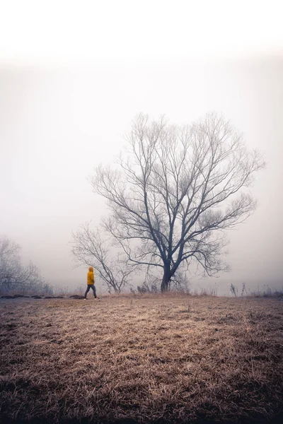 Seul Dans Forêt Lunatique Pris Par Brouillard — Photo