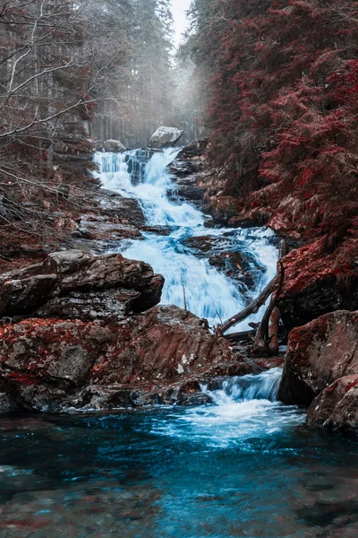 Flusso Nella Foresta Bavarese Con Colori Autunnali — Foto Stock